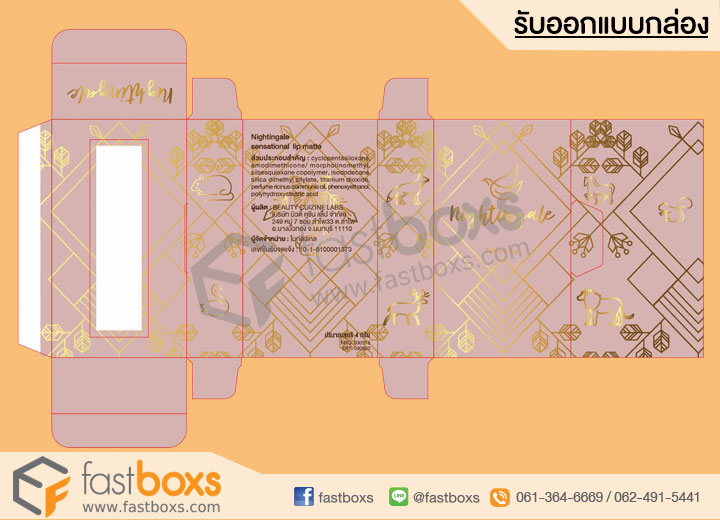 การออกแบบกล่องบรรจุภัณฑ์กระดาษ ผลงานออกแบบArtwork 01