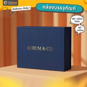 กล่องกระดาษใส่กระเป๋า