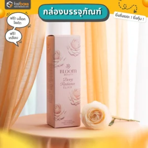 กล่องแพคเกจจิ้ง