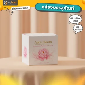 ออกแบบกล่องบรรจุภัณฑ์