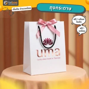 ถุงกระดาษกำหนดได้เองพร้อมพิมพ์โลโก้