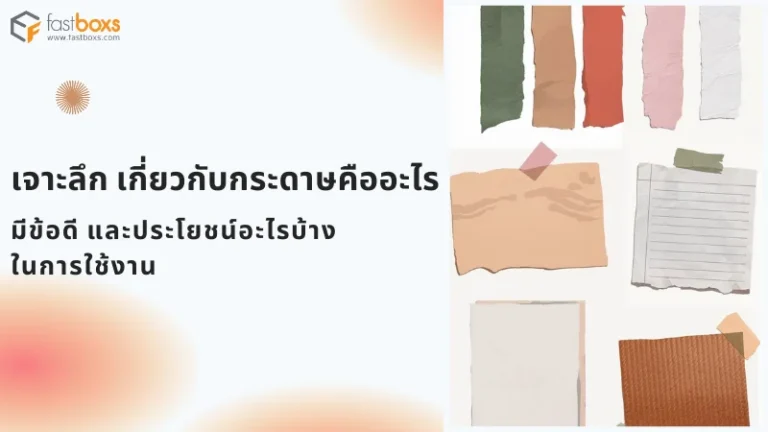 ตัวอย่างกระดาษหลายรูปแบบ ทั้งกระดาษคราฟท์ กระดาษลายเส้น และกระดาษรีไซเคิล